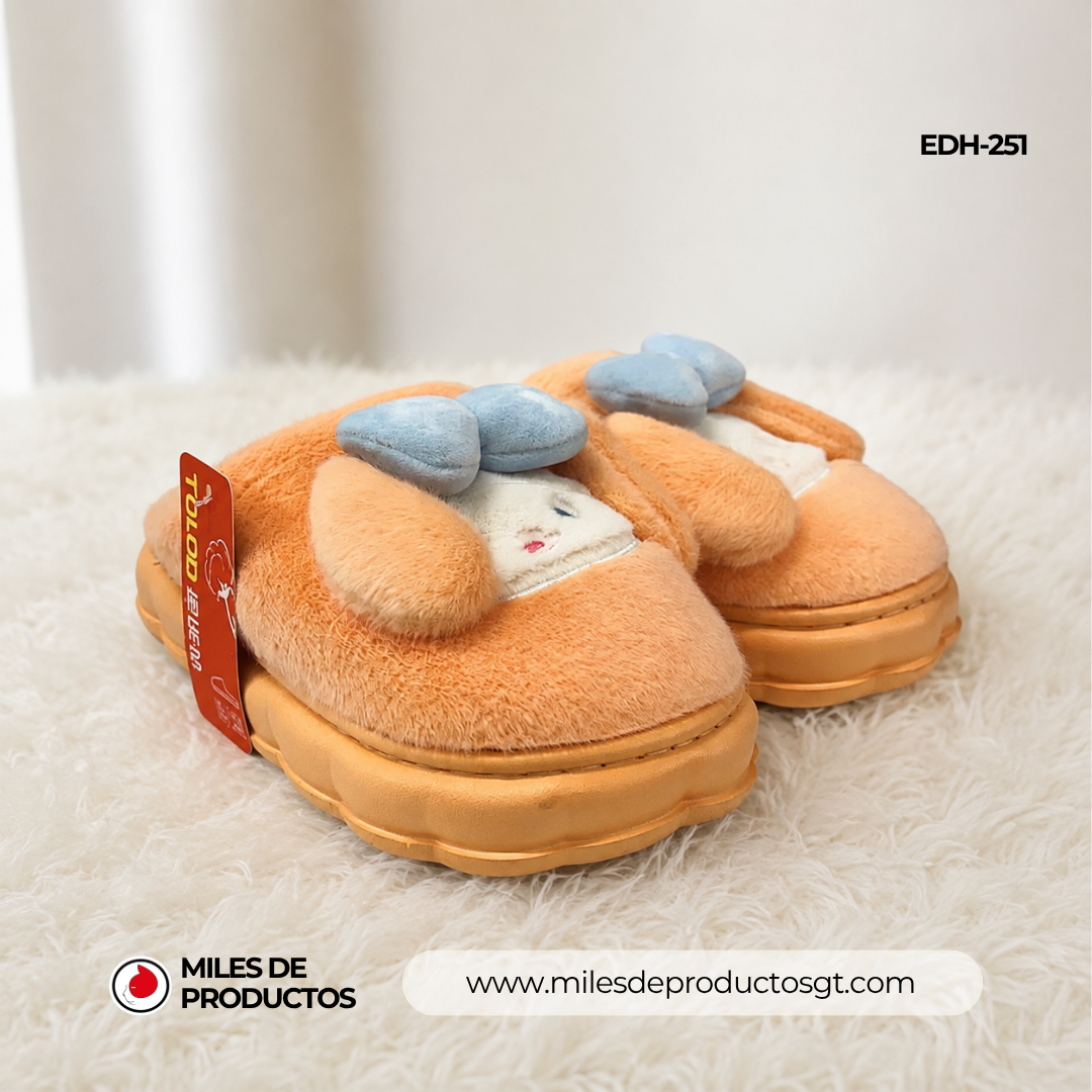 PANTUFLAS CON ESTAMPADO DE DIBUJOS ANIMADOS DE POL TALLAS 36-41 EDH-251