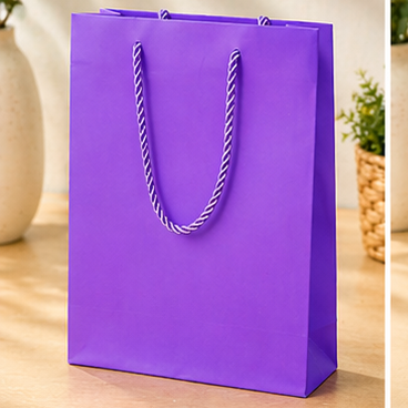 BOLSA DE PAPEL DE REGALO PORTÁTIL DE COLORES  EAW-204