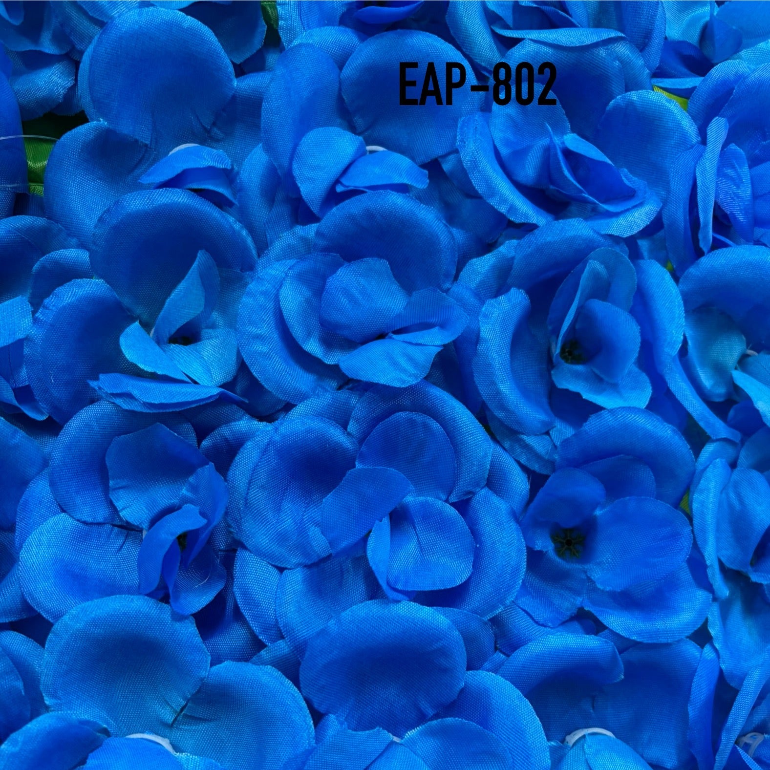 PLANCHA DE ORQUIDEA EAP-802