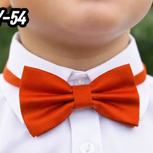 CORBATA DE POLIÉSTER  EAY-54